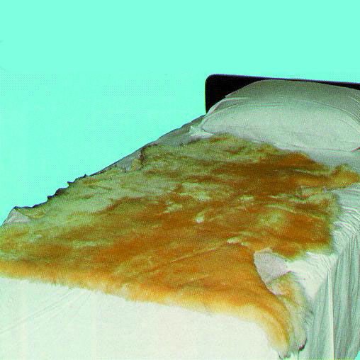 Sheepskin Ranch Sofsheep Sheepskin Pad 3 ft. L x 2-1/2 ft. W, Beige